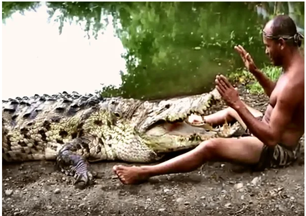 Два десятилетия крокодильей дружбы