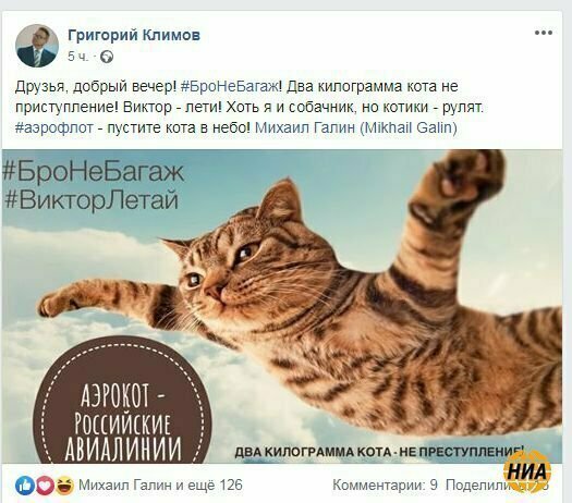 За упитанного кота "Аэрофлот" чуть совсем не затроллили