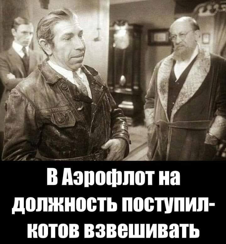 За упитанного кота "Аэрофлот" чуть совсем не затроллили