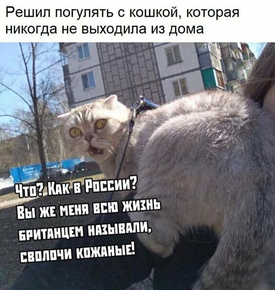 Смотришь - и настроение улучшается!