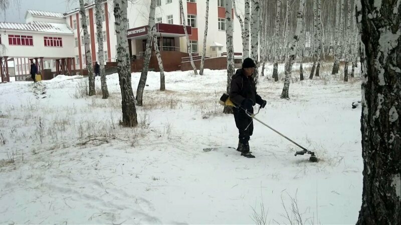 Борьба с сорняками вышла на новый уровень