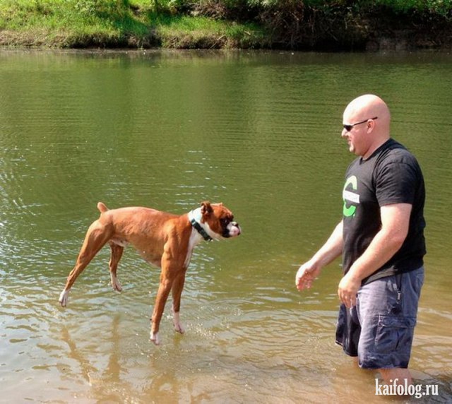 Прогулки по воде