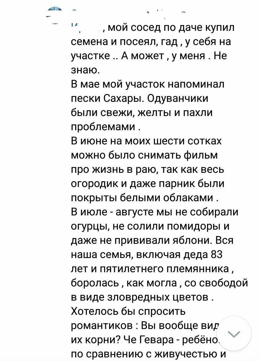 Любите девушки простых романтика. Любите девочки простых романтиков. Любите девушки простых романтиков текст. Любите девочки простых романтиков текст. Текст песни любите девушки простых романтиков.