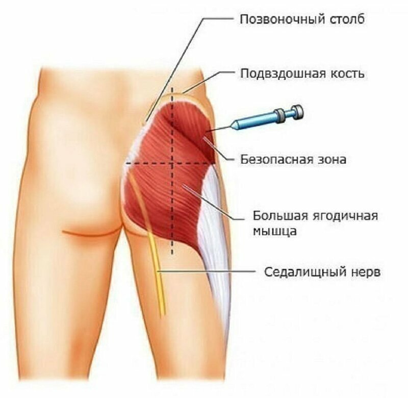 Инфографика: познавательная и увлекательная 