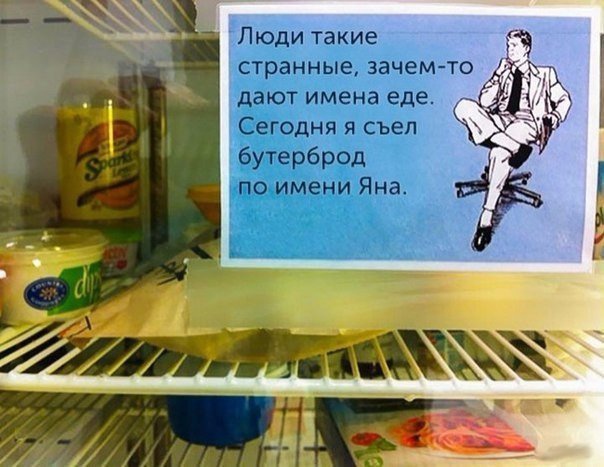 Философия из холодильника