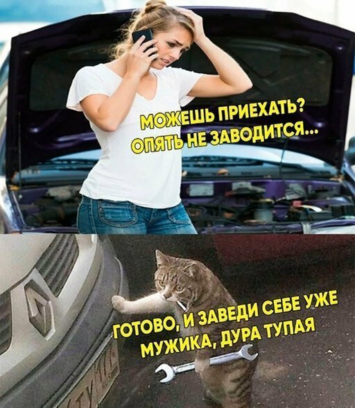 Полистай и развеселись