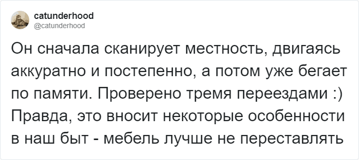 Через неделю кот уже мог с разбега прыгнуть на диван