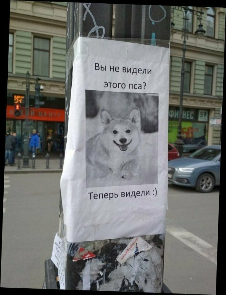 Сроду такого не было, и вот опять