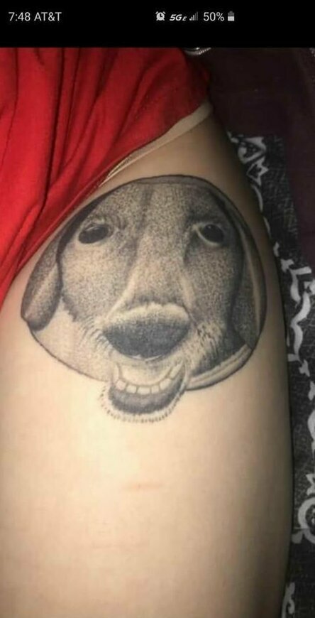 Портрет любимой собаки