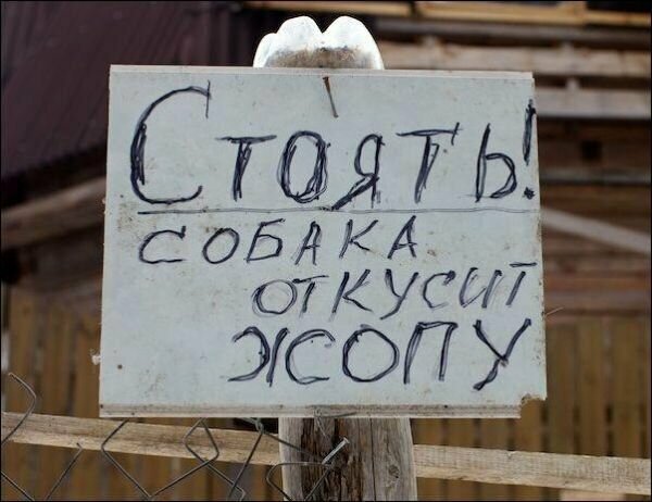 А здесь собаку...