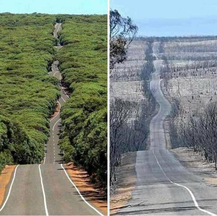 Австралия. До и после пожаров