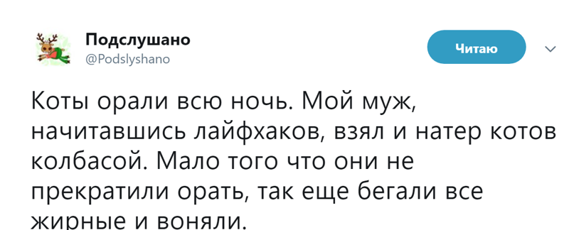 Высказывания и наблюдения для вашего настроения