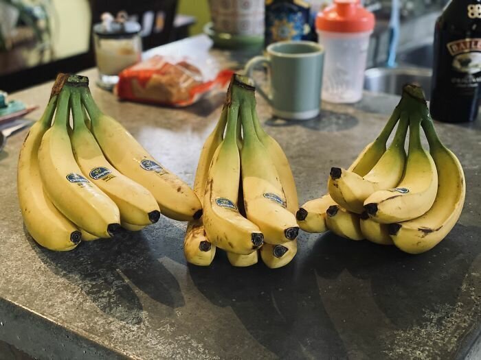 "Служба доставки что-то напутала: мне нужно было только три банана!"