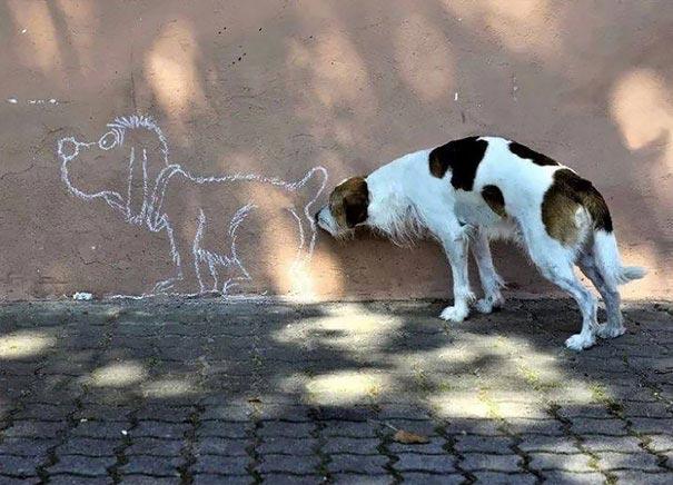 Видимо, сильно припекло