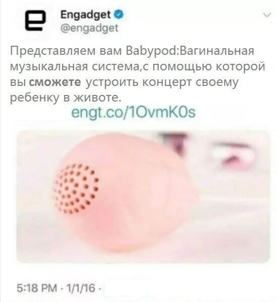 Теперь вы видели всё