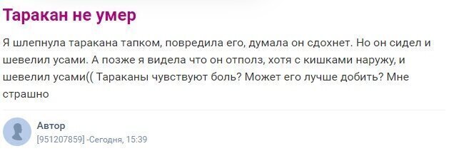 Женские откровения, которых сильному полу лучше не слышать и не видеть