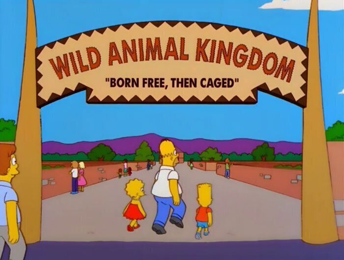 "Королевство диких животных. Рожденные свободными, живущие за решетками"