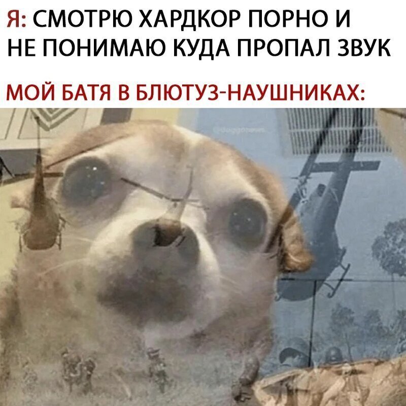 Соцсети шутят и рисуют