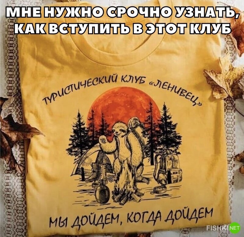 Соцсети шутят и рисуют