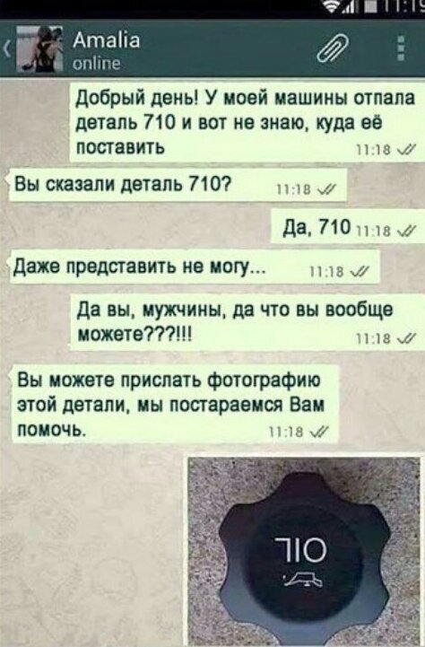 Автоледи