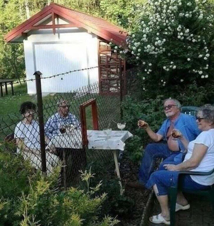 Дачные посиделки в эпоху самоизоляции