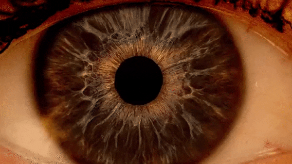 На этом видео вслед за оптометристом можно заглянуть в расширенный зрачок глаза