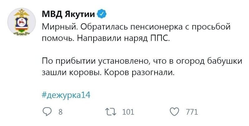 Суровые и не очень будни сотрудников МВД Якутии