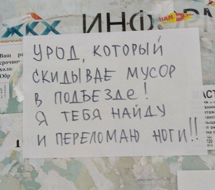 Соседи на тропе войны