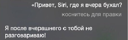 Благодаря голосовым помощникам, всегда есть с кем поболтать