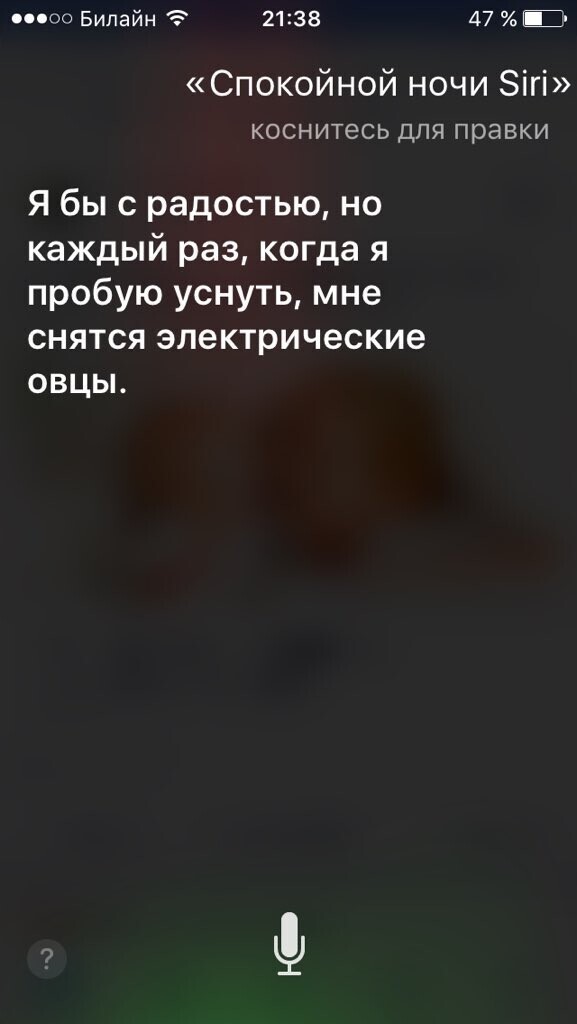 Поговори со мною, Siri 