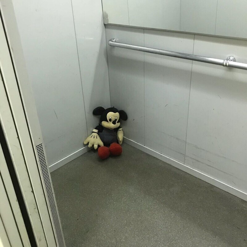 Кто-то оставил друга в лифте
