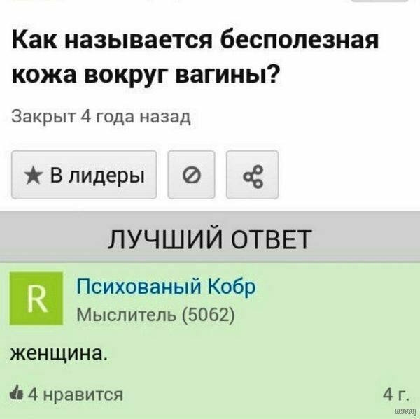 Хочу всё знать: лучшие ответы на непростые вопросы