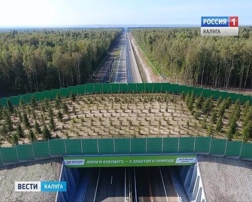 В России сделано уже несколько подобных экодуков.