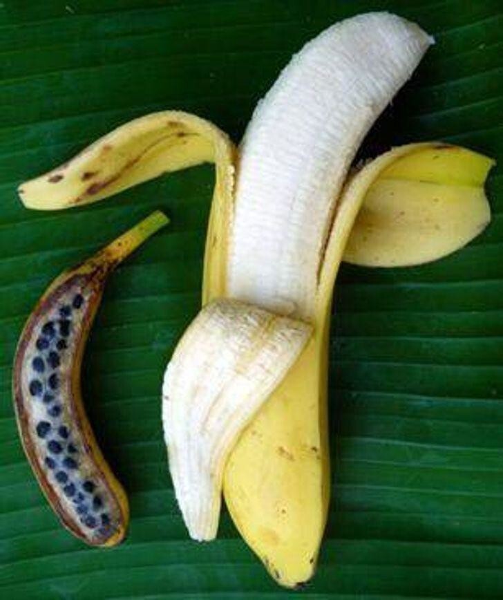 Слева - это настоящий банан, а справа такой, каким мы его привыкли видеть