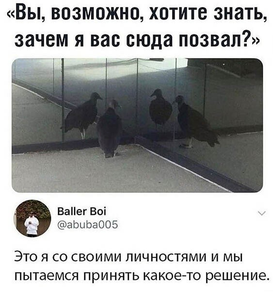 Посмотреть и посмеяться