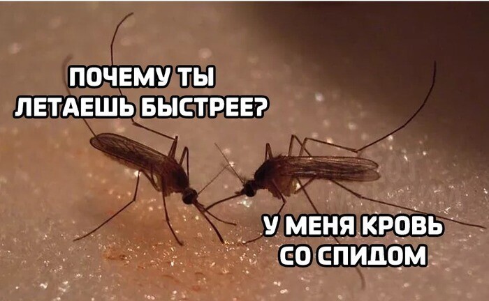 Небольшая порция юмора не для всех