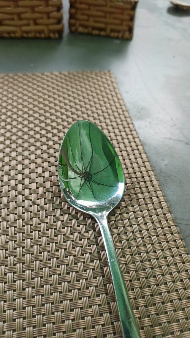 Отражение зонтика в ложке похоже на паука