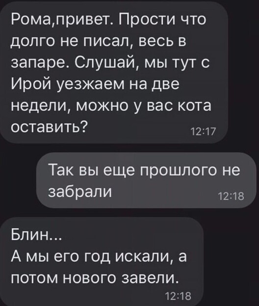 Заботливые хозяева