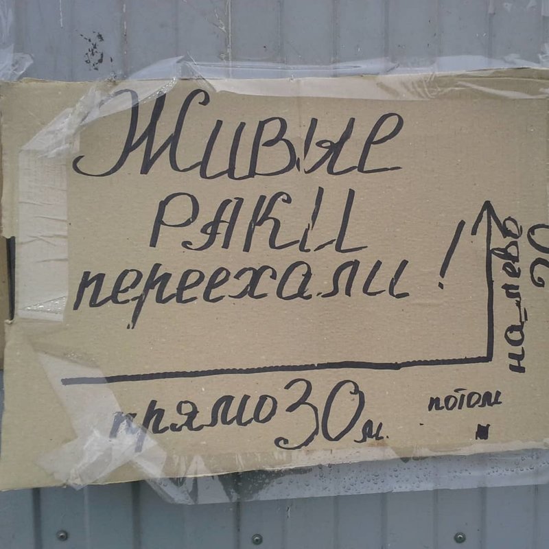 4. "Раки переехали налево!" - вот ни прибавить, ни убавить