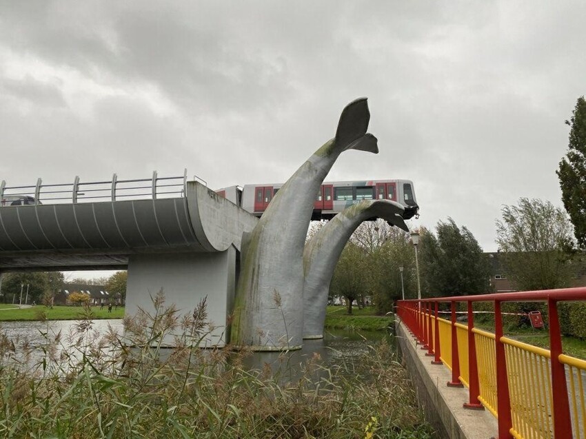 В Нидерландах поезд сошёл с рельсов, но его спас китовый хвост