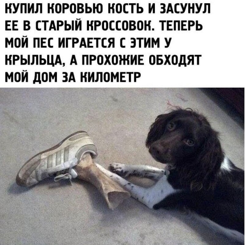 Бедные соседи