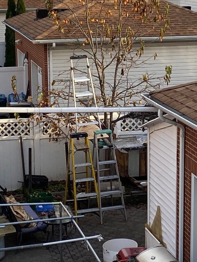 «Так мой сосед собирает фрукты с деревьев»