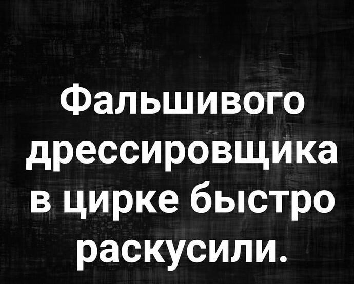 Вы тоже обожаете каламбуры?