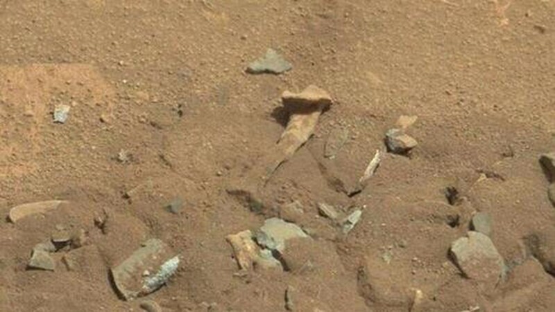 Человеческая кость на Марсе?