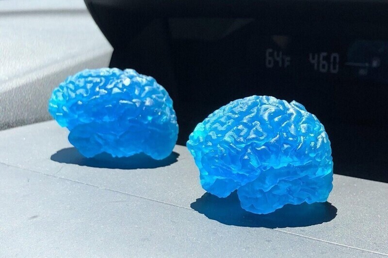 Мозги, напечатанные на 3D-принтере