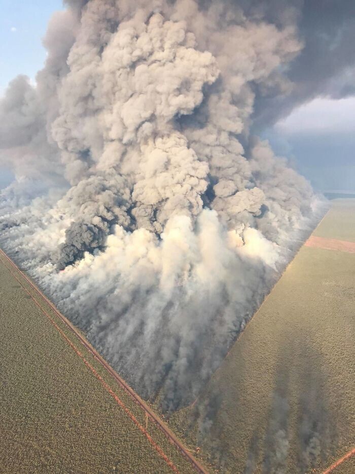 Пожар в австралийском буше