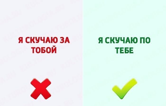 Правил в русском языке много, поэтому изучить их удается не всем, однако прослыть глупым никто не хочет