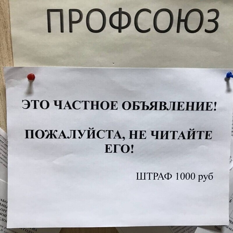 Стеб над любителями развешивать объявления