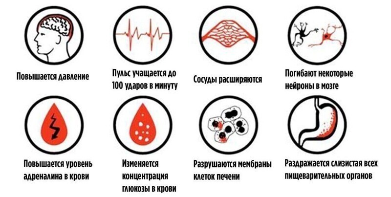 Но помните - это происходит с вами после употребления 100 грамм водки