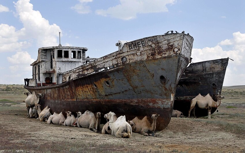 Корабли пустыни: Аральское море